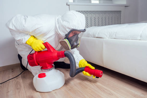 Best Affordable Pest Control Services  in Keeler Farm, NM