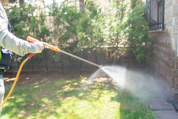 Best Best Pest Control Companies  in Keeler Farm, NM