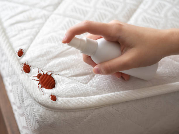 Best Best Pest Control Near Me  in Keeler Farm, NM