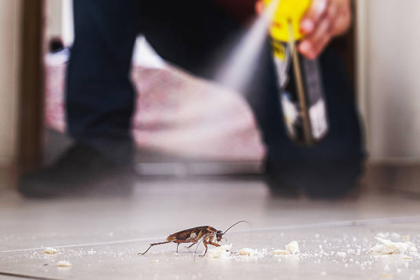Pest Control for Restaurants in Keeler Farm, NM