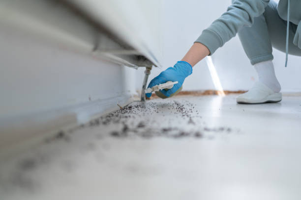 Best Commercial Pest Control Services  in Keeler Farm, NM